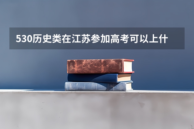 530历史类在江苏参加高考可以上什么大学