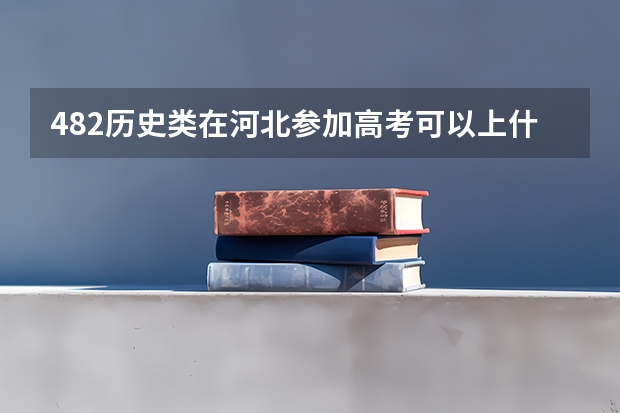 482历史类在河北参加高考可以上什么大学