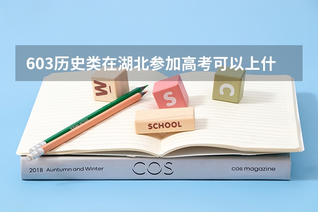 603历史类在湖北参加高考可以上什么大学