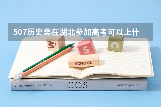 507历史类在湖北参加高考可以上什么大学