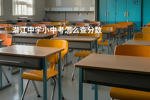 潜江中学小中考怎么查分数