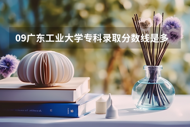 09广东工业大学专科录取分数线是多少？