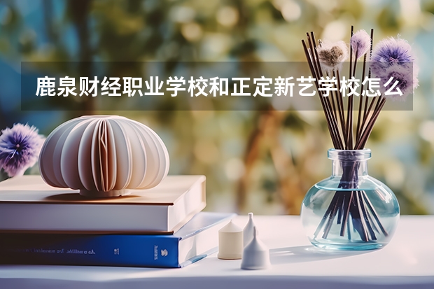 鹿泉财经职业学校和正定新艺学校怎么选