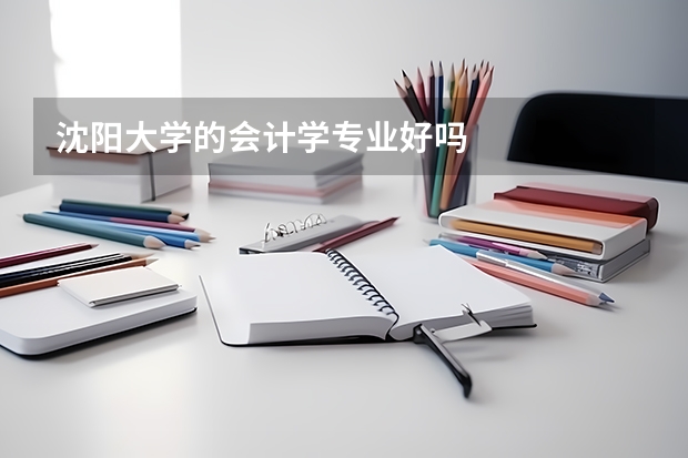 沈阳大学的会计学专业好吗