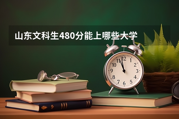 山东文科生480分能上哪些大学