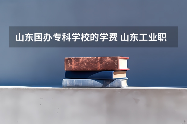 山东国办专科学校的学费 山东工业职业学院学费