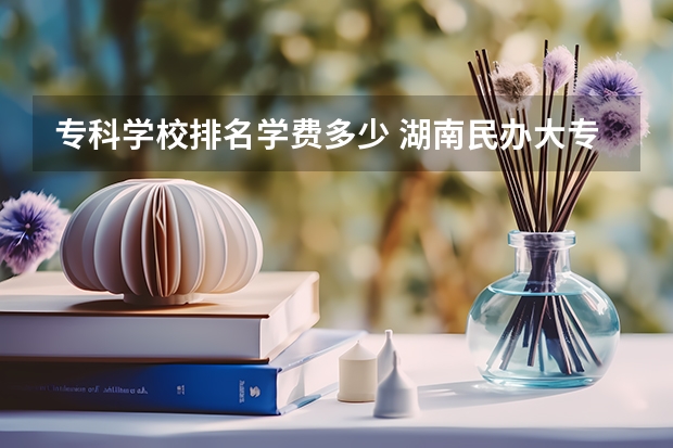 专科学校排名学费多少 湖南民办大专学费排名