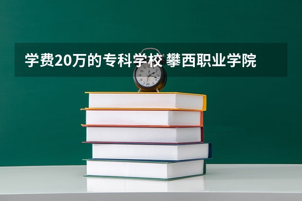 学费20万的专科学校 攀西职业学院学费多少