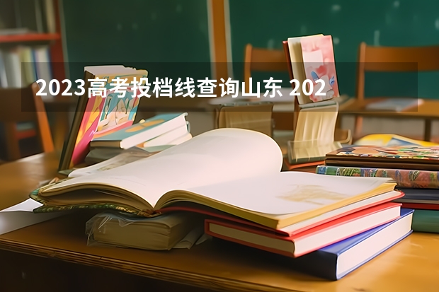 2023高考投档线查询山东 2023年山东省高考提档线