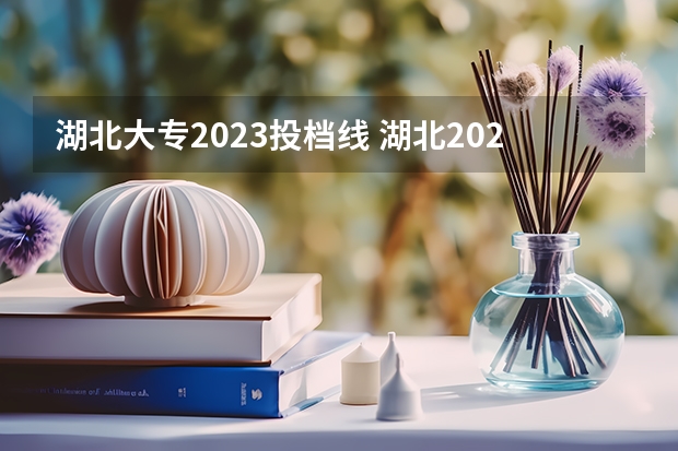 湖北大专2023投档线 湖北2023专科投档线