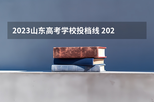 2023山东高考学校投档线 2023高考大学投档线山东