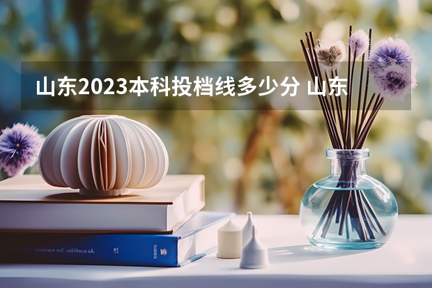 山东2023本科投档线多少分 山东省2023年投档线