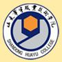 山东华宇职业技术学院LOGO